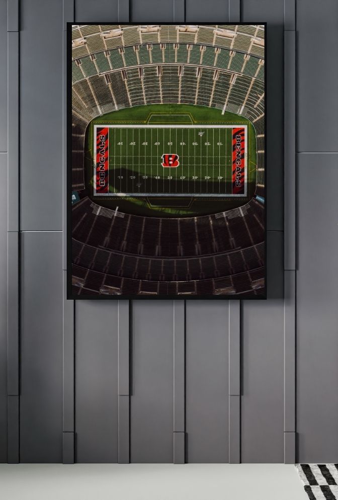 Buckeye Pride: Ohio State Canvas Art