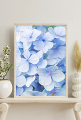 Hydrangea Canvas Wall Art Poster