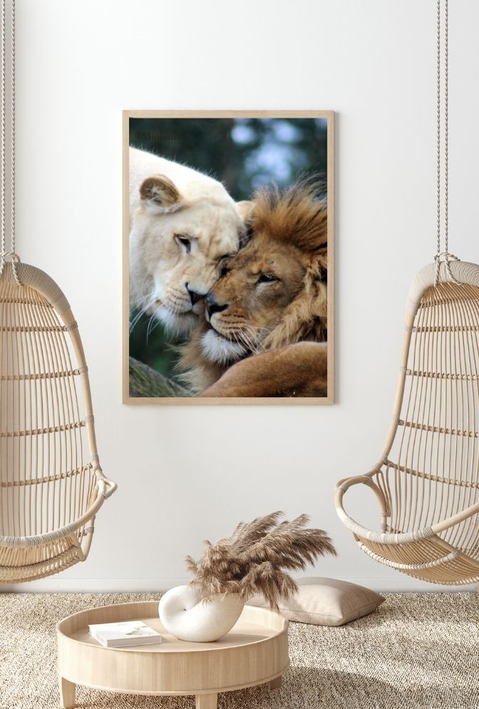 Eternal Bond: Lion & Lioness Canvas Art