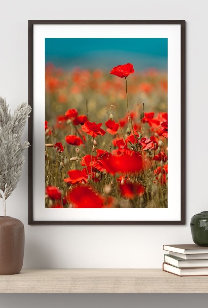 Crimson Bloom Canvas: Vibrant Red Flower Wall Art