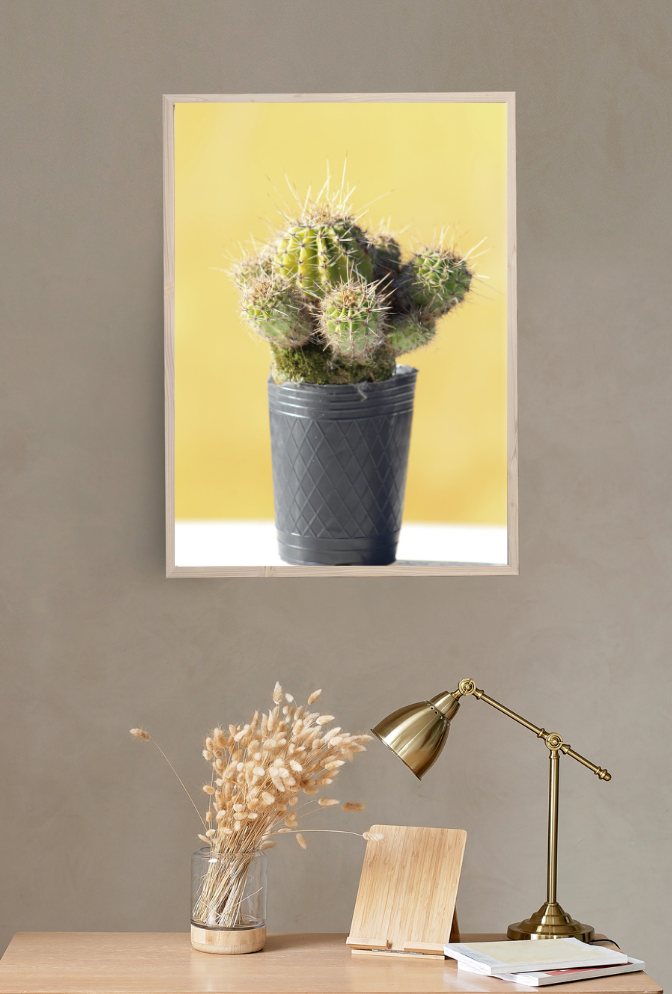 Golden Hour Cactus Canvas