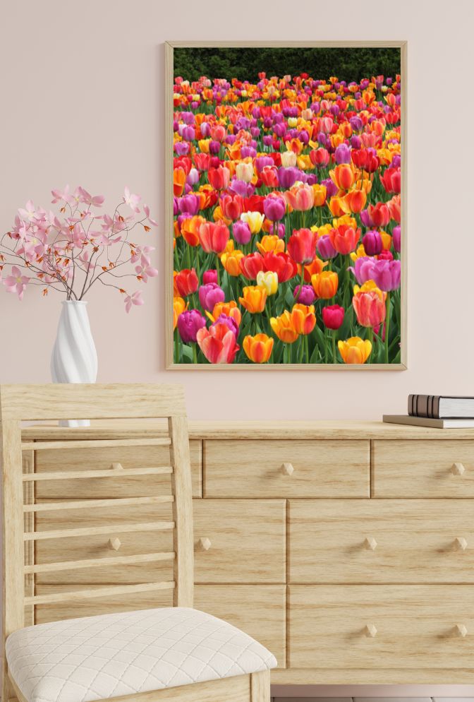 Vibrant Canvas Wall Art for a Burst of Color