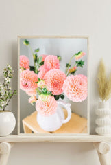 Blush Dahlia Bloom Canvas Art