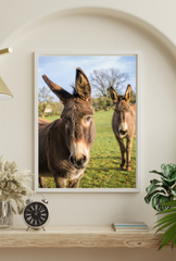 Curious Donkeys Canvas Art