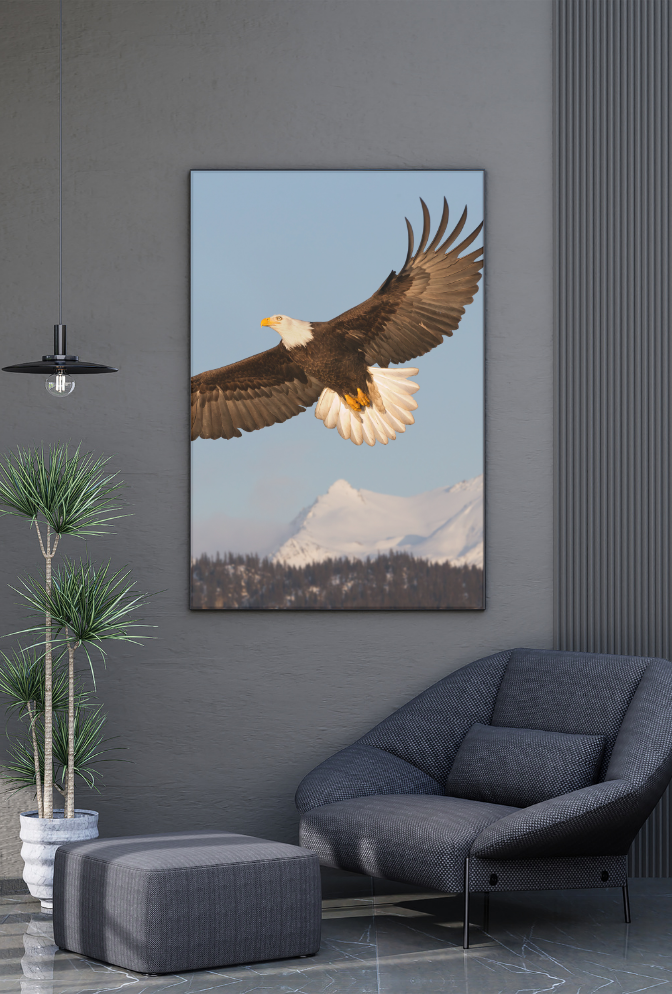 Soaring Eagle Canvas Art