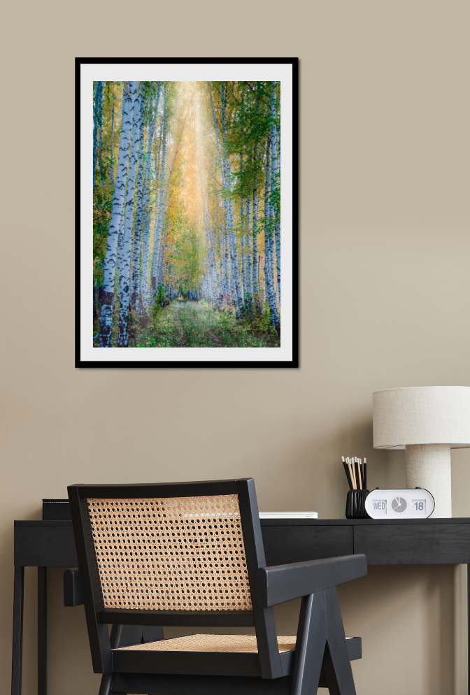 Birch Tree Canvas Wall Art Poster