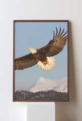 Soaring Eagle Canvas Art