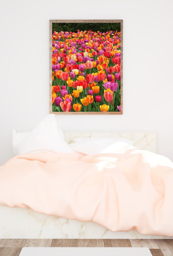 Vibrant Canvas Wall Art for a Burst of Color