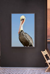 Elegant Pelican Canvas Art: Coastal Charm for Your Walls