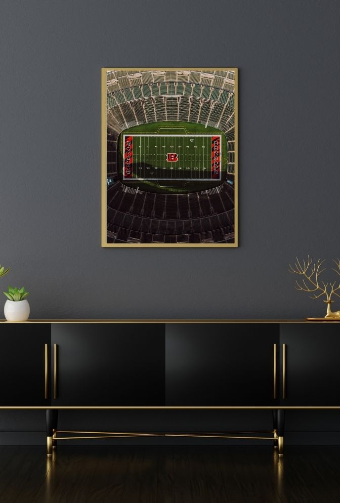 Buckeye Pride: Ohio State Canvas Art