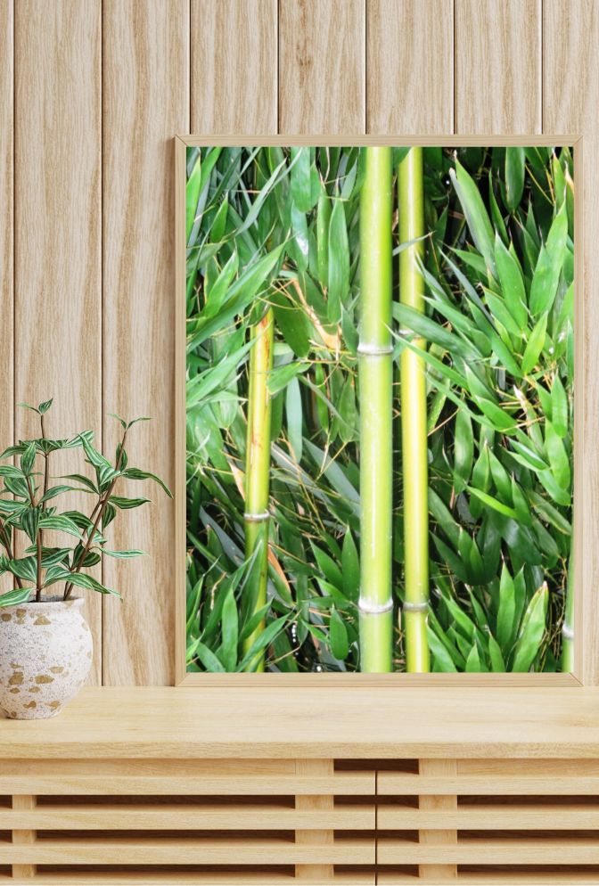 Serene Stalks: Bamboo Canvas Wall Art