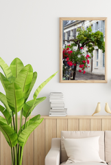Rustic Romance: Charming French Country Canvas Wall Art
