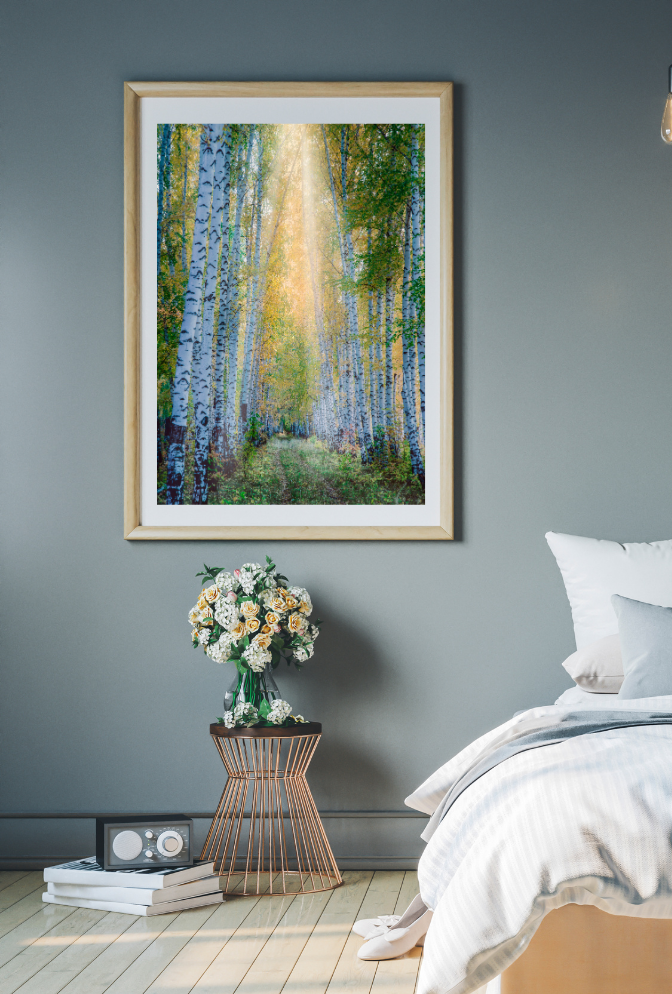 Birch Tree Canvas Wall Art Poster