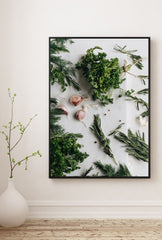 Culinary Canvas: Fresh Herb Wall Art for Kitchen & Dining