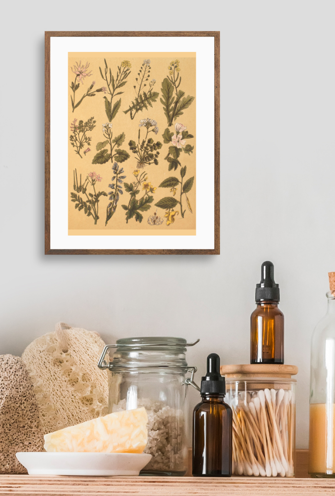 Botanical Canvas Wall Art Poster