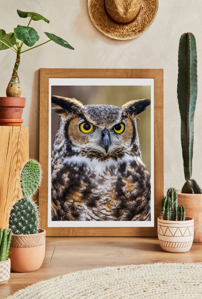 Owl Canvas Wall Art Poster