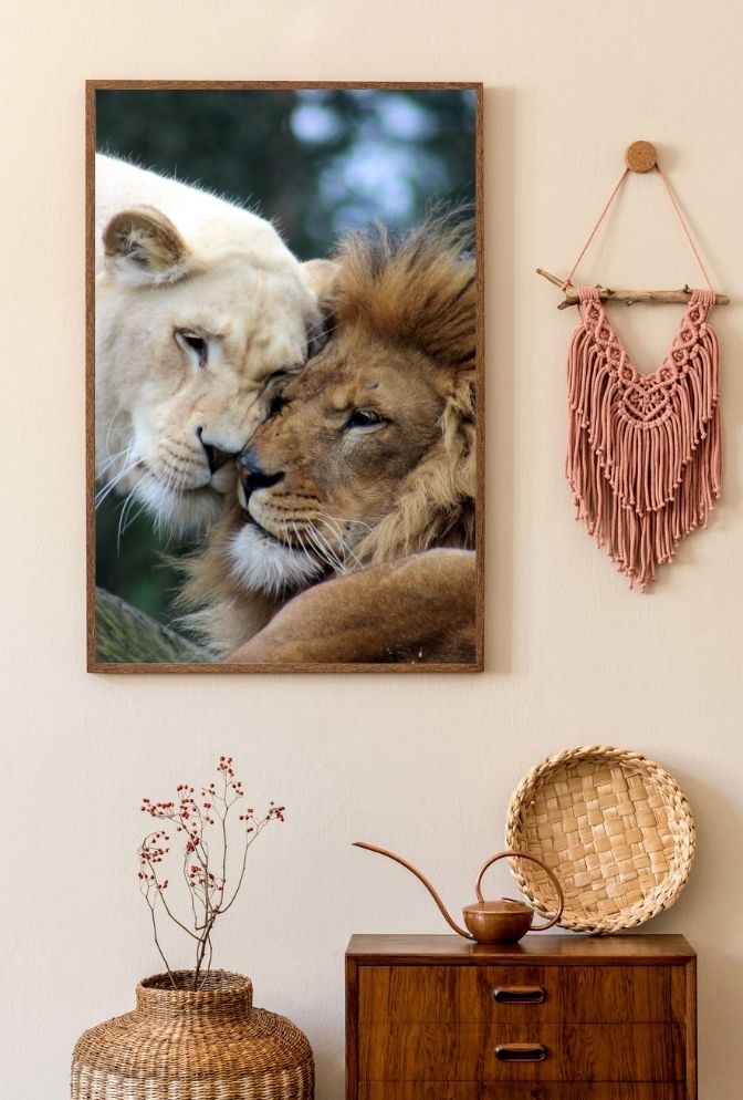 Eternal Bond: Lion & Lioness Canvas Art