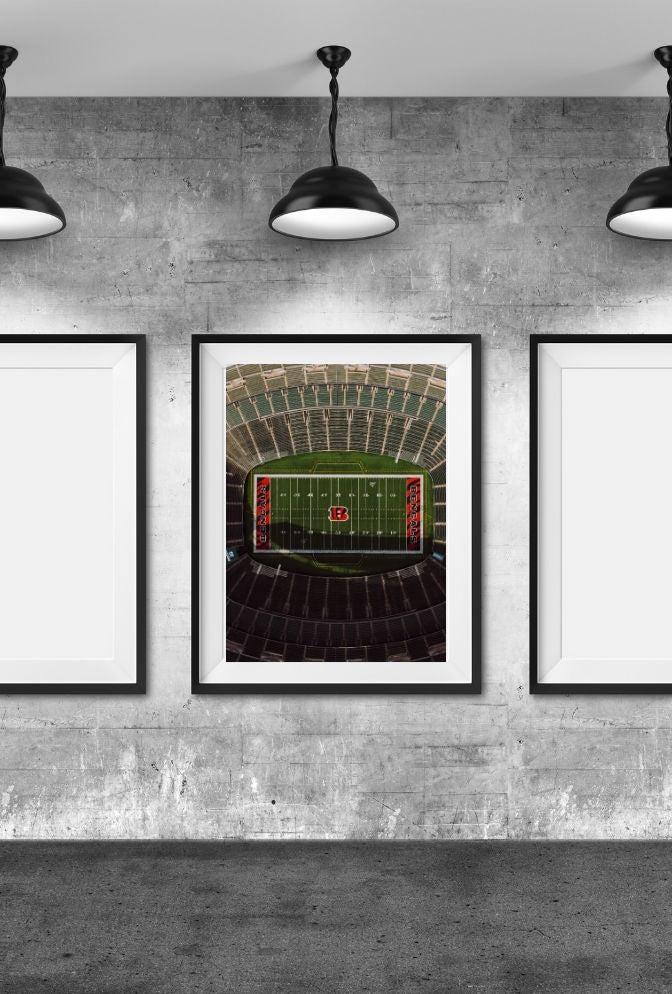 Buckeye Pride: Ohio State Canvas Art