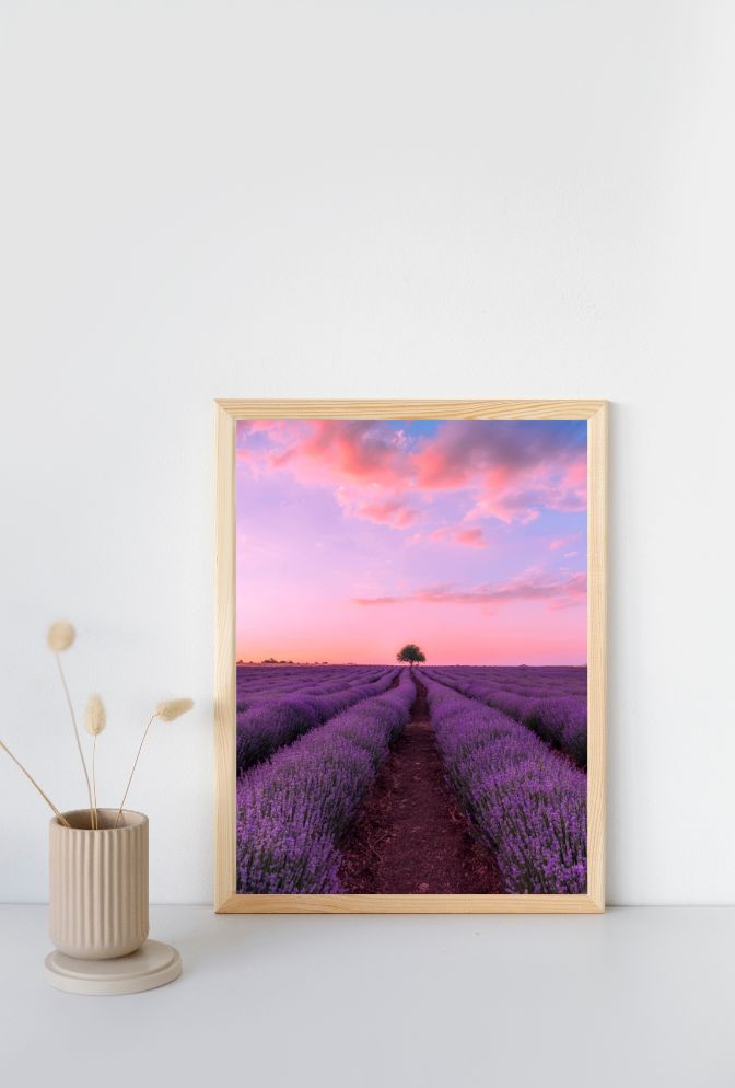 Lavender Sunset: Tranquil Canvas Wall Art