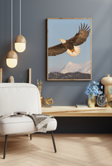Soaring Eagle Canvas Art
