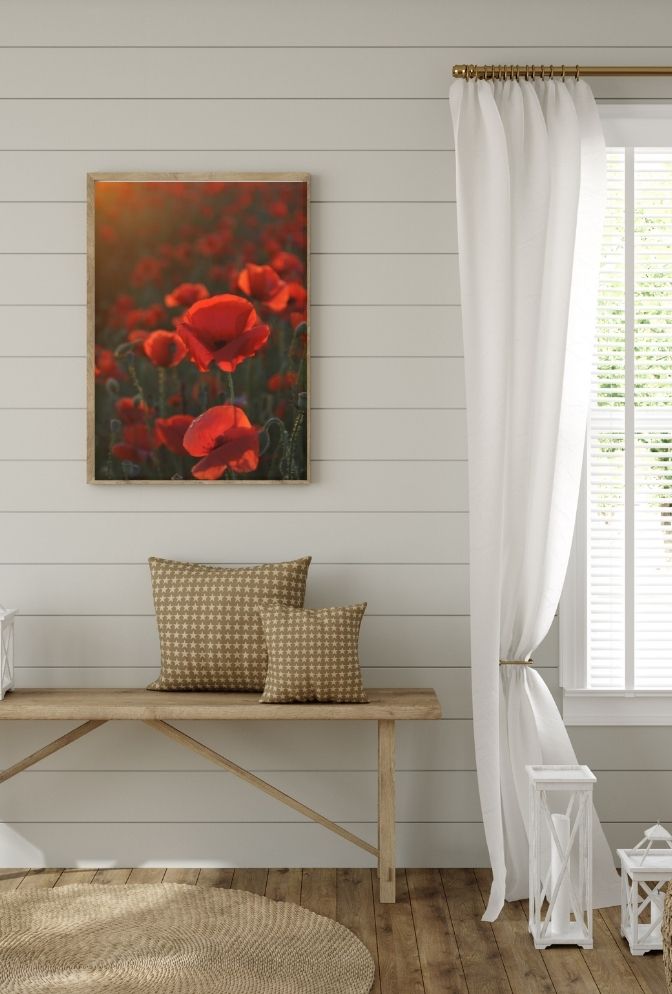 Scarlet Poppy Field Canvas: Romantic Floral Wall Art