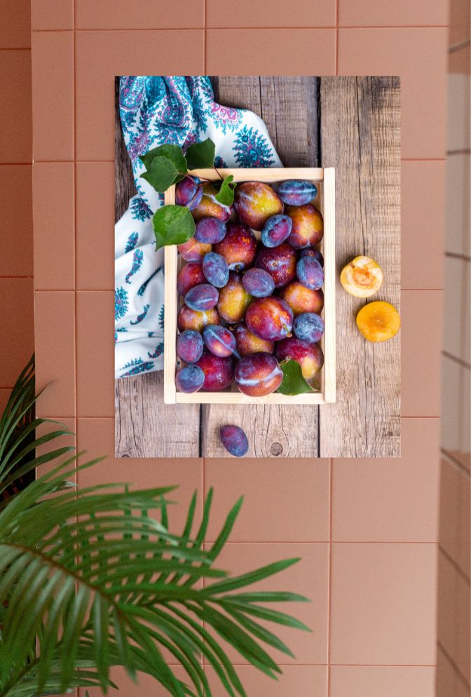 Orchard's Bounty: Plum Canvas Art