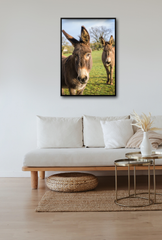 Curious Donkeys Canvas Art