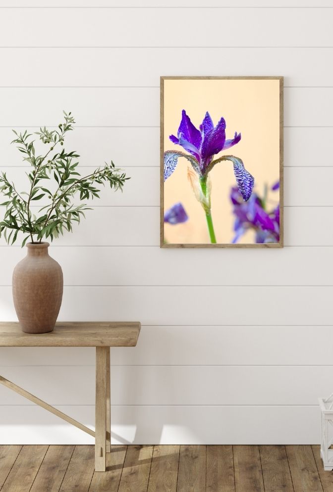 Culinary Harmony Canvas Art