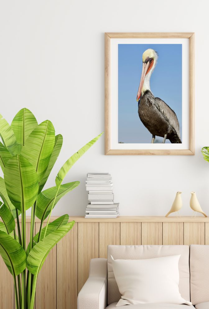 Elegant Pelican Canvas Art: Coastal Charm for Your Walls