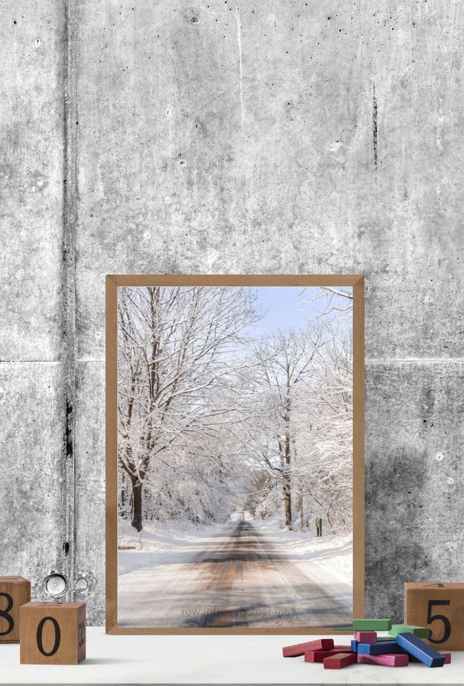 Stunning Canvas Wall Art for Snowy Scenes
