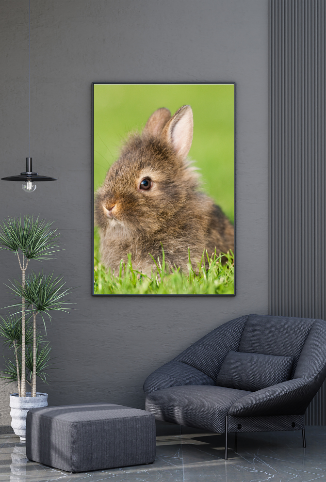 Animal Canvas Wall Art Poster