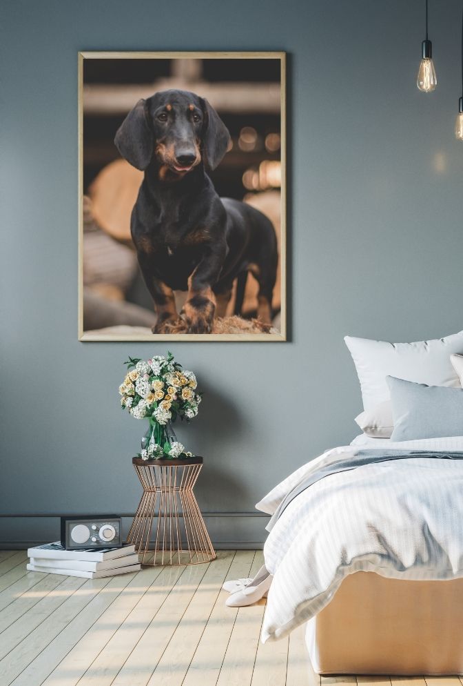 Dapper Dachshund Portrait Canvas Art