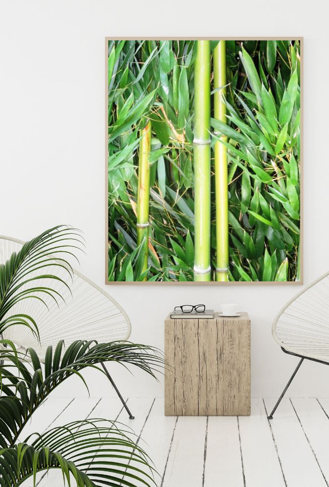 Serene Stalks: Bamboo Canvas Wall Art