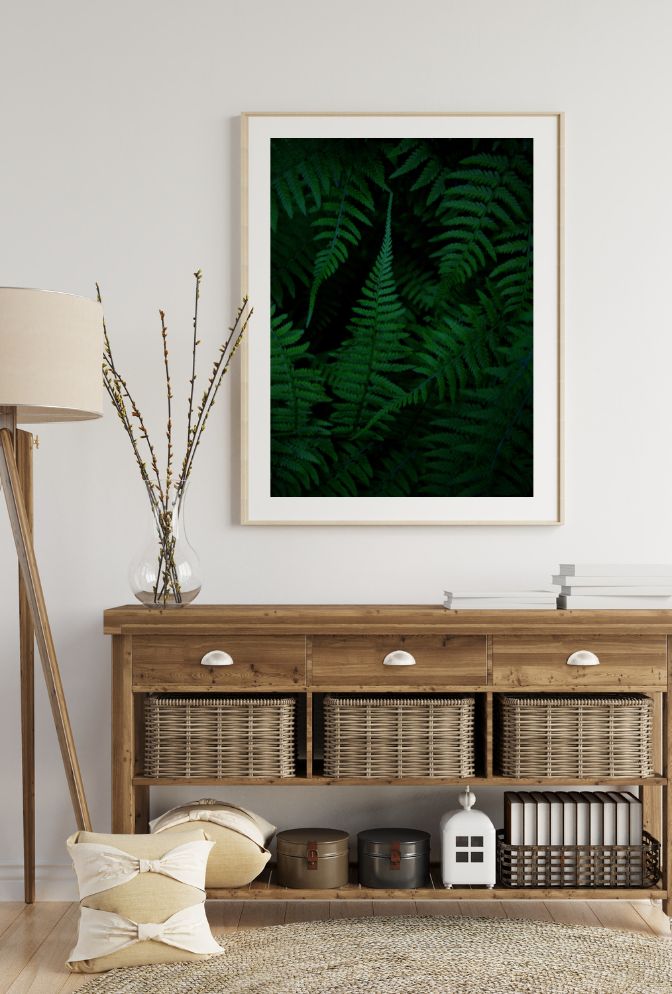 Emerald Fern Forest Canvas Art