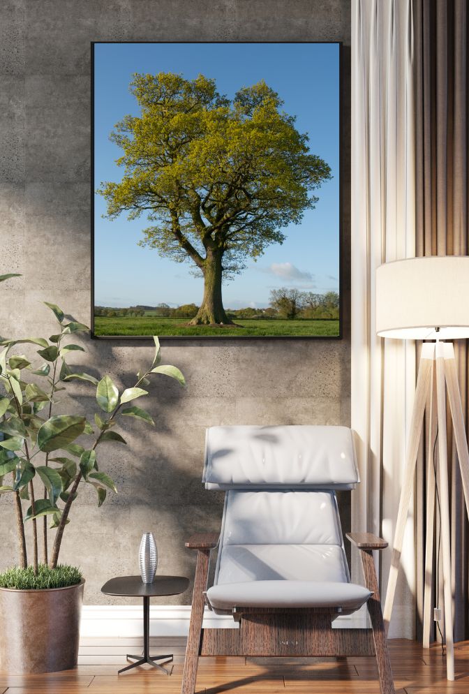 Majestic Oak Tree Canvas Wall Art