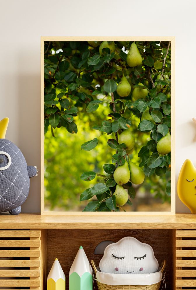 Pear Tree Bounty: Orchard Canvas Art
