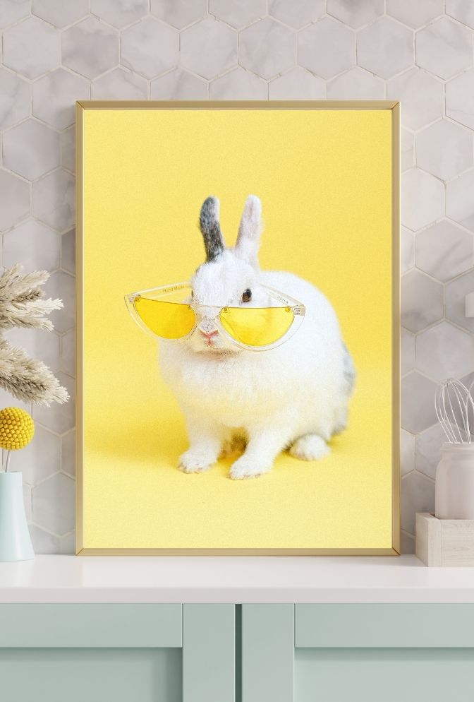 Hip Hop Bunny: Sunglasses Canvas Art