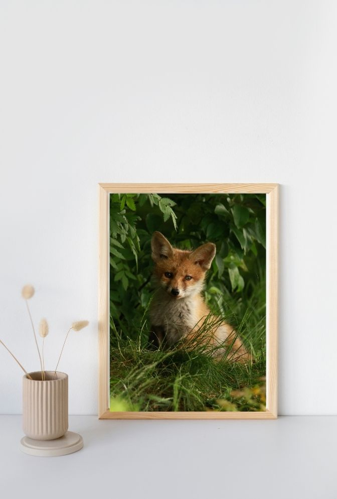 Whispering Woods: Fox Cub Canvas Art