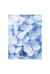 Blue Hydrangea Bloom Canvas Art