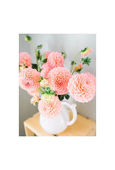 Blush Dahlia Bloom Canvas Art