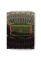 Buckeye Pride: Ohio State Canvas Art
