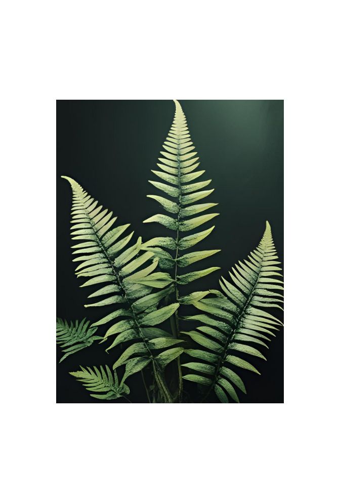 Fern Canvas Wall Art: Bring Nature's Tranquility Home