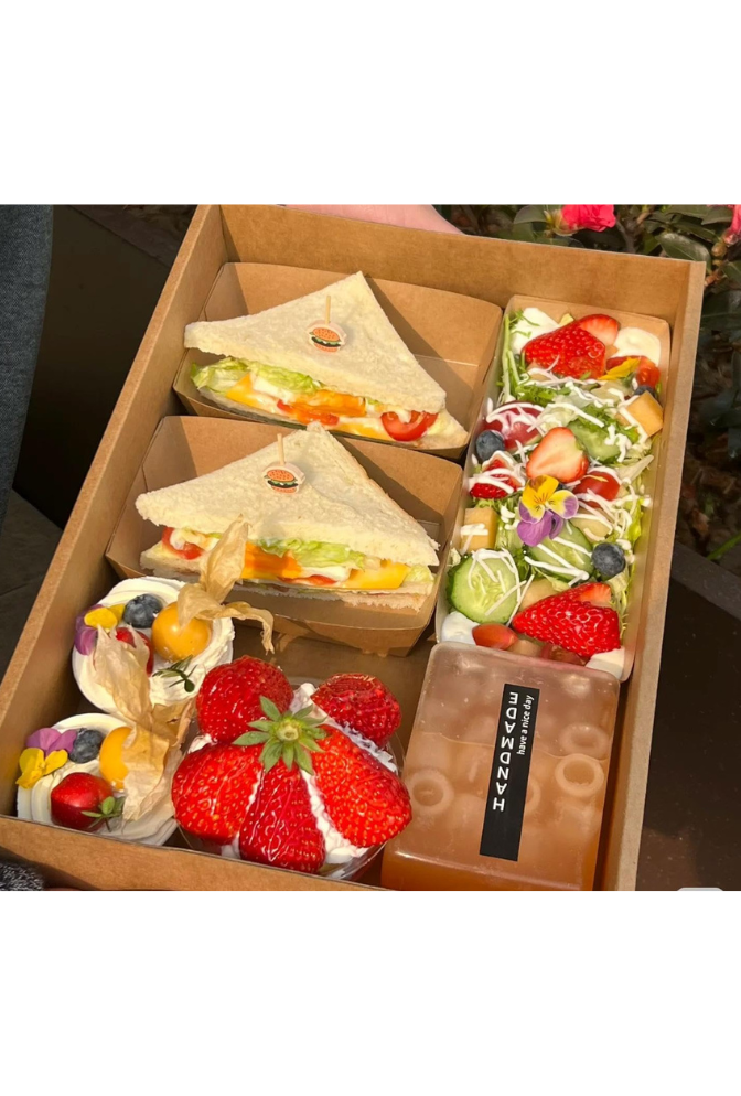 Ganfaner 10-Pack Large Catering Trays with Lids and Cup Insert