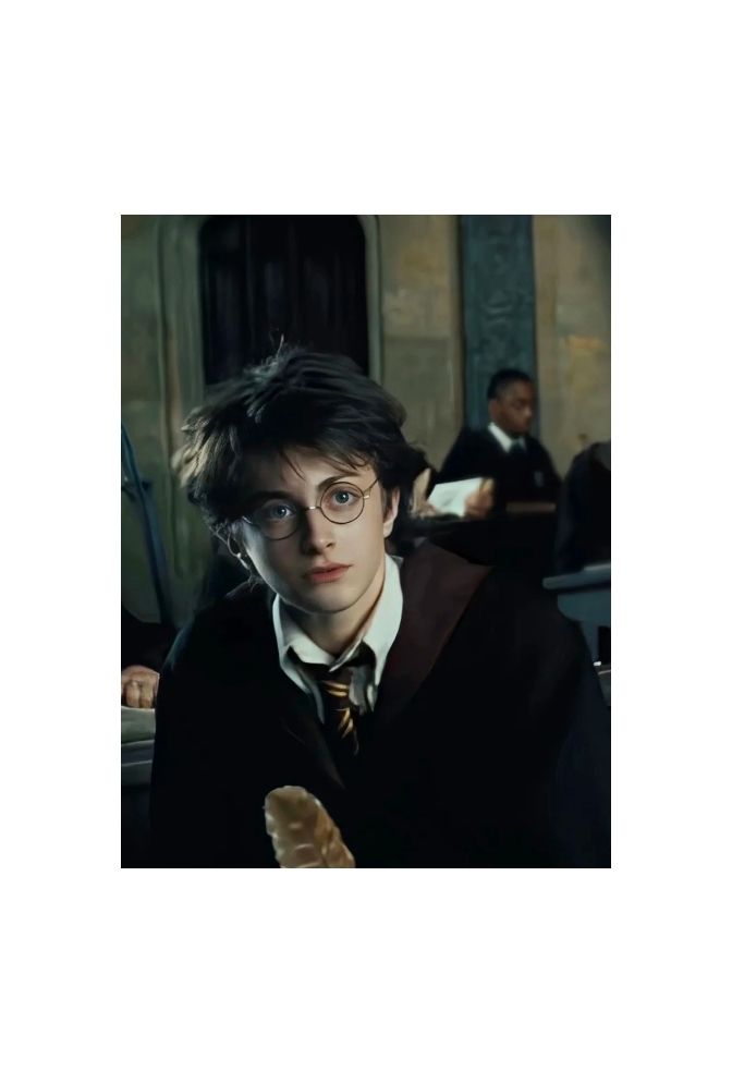 "Harry Potter: Young Wizard Portrait Canvas Art"