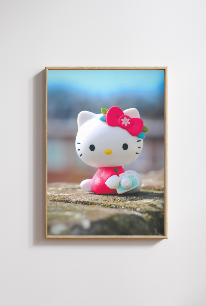 Hello Kitty Canvas Wall Art: Say Cheese!