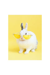 Hip Hop Bunny: Sunglasses Canvas Art