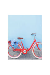 Retro Ride: Red Bicycle Canvas Art