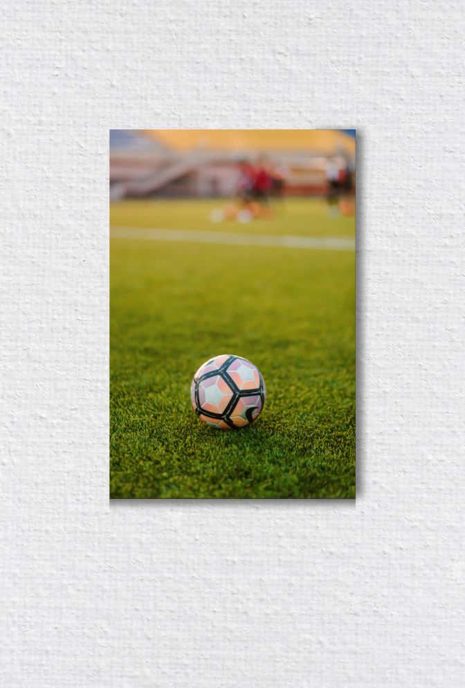 Soccer Canvas Wall Art Poster