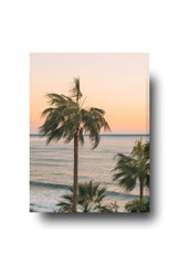 Sunset Palms: Coastal Dream Canvas Art