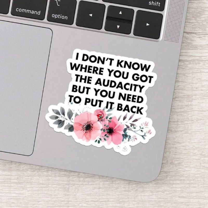 1PC Don't Know Where You Got The Audacity But You Need To Put It Back Sticker Vinyl Sticker Waterproof